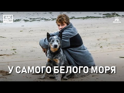 Видео: У самого Белого моря (4K, драма, реж. Александр Зачиняев, 2021 г.)