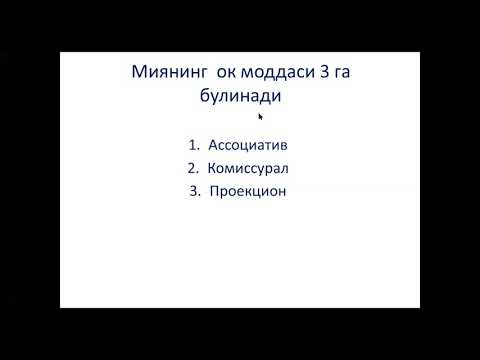Видео: Bosh Miyaning oq moddasi Иброхимова Л.И