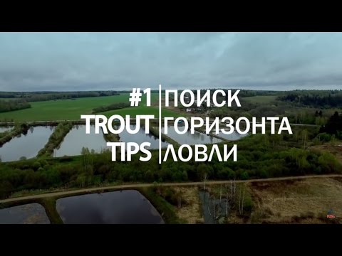 Видео: Trout Tips. #1 Поиск горизонта ловли