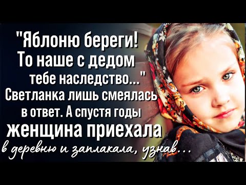 Видео: Нежданное наследство