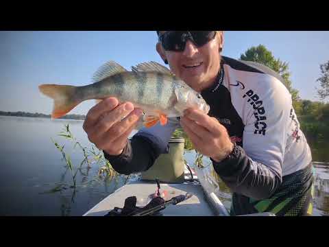 Видео: 40 км на Sup: окунь на джиг і боротьба з великою щукою