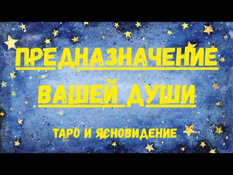 Видео: В какой точке реализации вы находитесь?