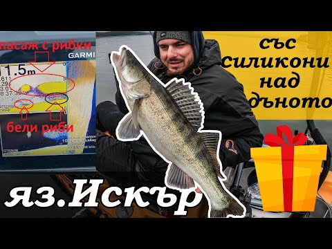 Видео: Язовир Искър. Риболов на БЕЛИ РИБИ на джиг със силиконови примамки над дъното