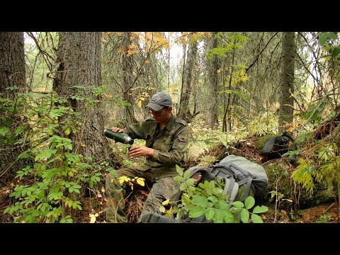 Видео: Проверил урочище в глуши #446
