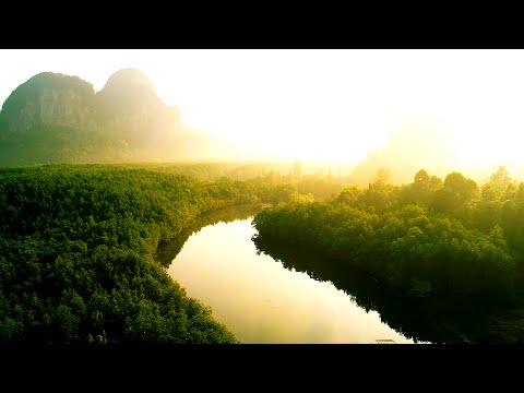 Видео: Боливия. Мир Наизнанку - 1 серия, 7 сезон