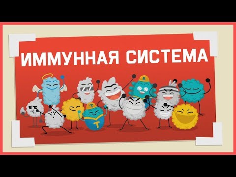 Видео: Edu: Как работает иммунная система человека