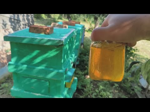 Видео: Відкачав мед. Очікував більшого.
