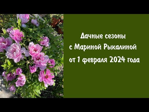 Видео: Дачные сезоны с Мариной Рыкалиной от 1 февраля 2024 года