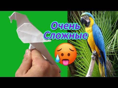Видео: Қағаздан құс жасау топтамасы 🦋🦅🦇🪿🦜🐉🕊️!!!😱қағаздан не жасауға болады