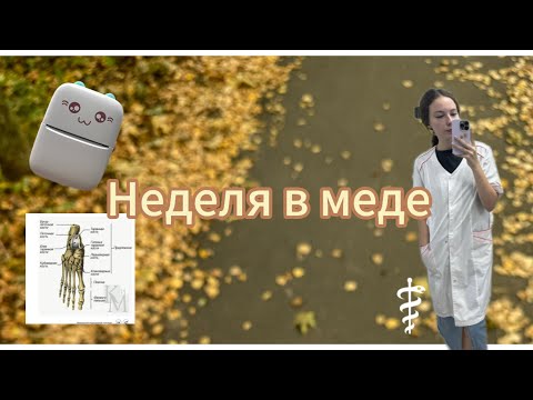 Видео: УЧЕБНАЯ НЕДЕЛЯ В МЕД КОЛЛЕДЖЕ🏥/2 курс/Мини принтер с вб🛍️