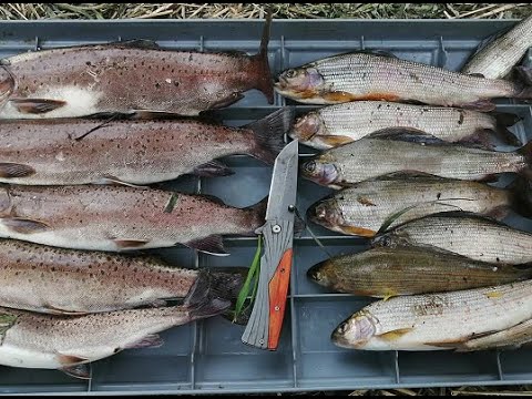 Видео: Бешеный клев Хариуса и Ленка! Река Анюй, река Поди. Рыбалка удалась на славу!