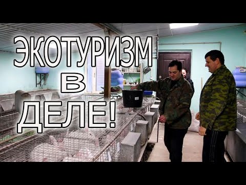 Видео: ЭКОТУРИЗМ НА КРОЛИКАХ