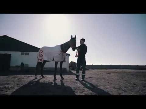 Видео: Ақтоғай арғымағы  2019!  ВКО Аягоз каласы Актогай Қопа ауылы