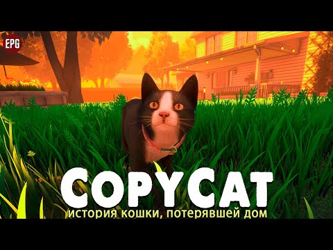 Видео: Copycat -  История кошки, потерявшей дом (стрим)