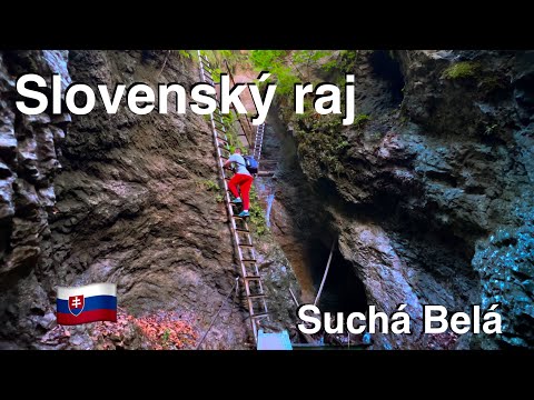 Видео: Slovenský raj. Поход по Suchá Belá. Дикие животные, жизнь в палатке и тропа с опасными лестницами.