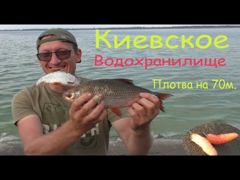 Видео: Киевское водохранилище. ОСЕННИЙ ЖОР ПЛОТВЫ!