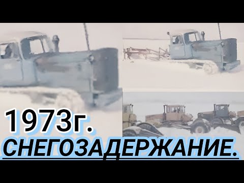 Видео: ✅️ХРОНИКА СССР - 1983год. СНЕГОЗАДЕРЖАНИЕ НА ПОЛЯХ.