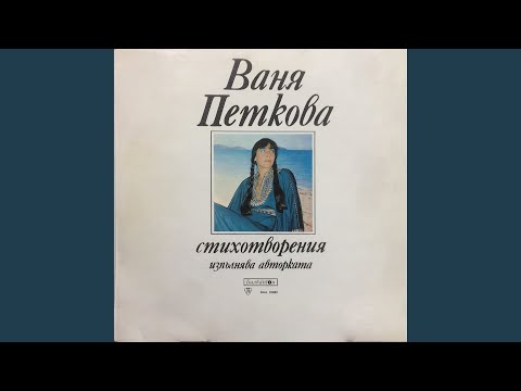 Видео: Бодегита