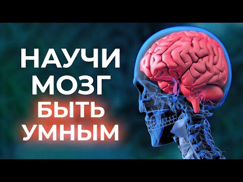 Видео: Как прокачать мозг? / Как стать умнее и улучшить работу мозга?