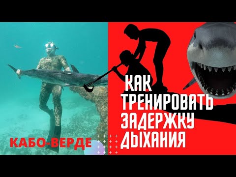 Видео: КАК ТРЕНИРОВАТЬ ЗАДЕРЖКУ ДЫХАНИЯ ПРАВИЛЬНО! ПОДВОДНАЯ ОХОТА ,ДАЙВИНГ,ФРИДАЙВИНГ.