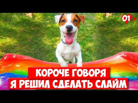 Видео: КОРОЧЕ ГОВОРЯ, Я РЕШИЛ СДЕЛАТЬ СЛАЙМ. Говорящая собака. Каждый слаймер такой