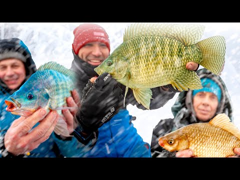 Видео: Рыбалка БЕЗ ОШИБОК. Зимний фидер 2021. Такую РЫБАЛКУ ты еще не видел! Feeder Fishing TV Выпуск #61
