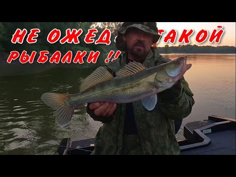 Видео: НЕ ОЖЕДАЛ ТАКОЙ РЫБАЛКИ !!! Рыбалка на Оби 4 июля 2025г.