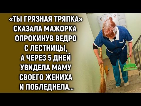 Видео: «Тряпка» сказала мажорка уборщице, перевернув ей ведро, а через 5 дней…