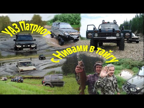 Видео: УАЗ Патриот с Нивами в тайгу.Дойдёт?Водитель УАЗа решил попытать счастья.Что из этого вышло.Как было