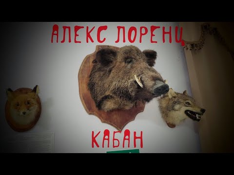 Видео: 🐗 Кабан | рассказ ужасов | автор Алекс Лоренц | заблудились в лесу | на реальных событиях