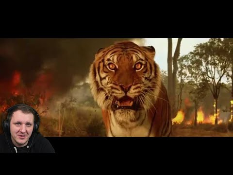 Видео: ТОП 5 ЖИВОТНЫХ МАНЬЯКОВ!!!П | Реакция