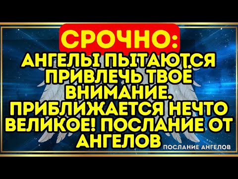 Видео: 🌟 СРОЧНО: Ангелы пытаются привлечь твоё внимание — приближается нечто великое! Послание от ангелов