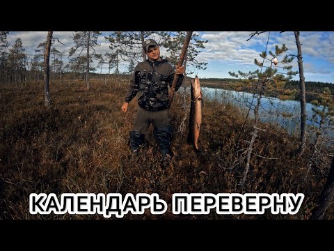 Видео: ПЕРВЫЕ ЗАМОРОЗКИ.ЩУКА НА ЖИВЦА.КОРОТКОЕ КАРЕЛЬСКОЕ ЛЕТО. РЫБАЛКА В КАРЕЛИИ.