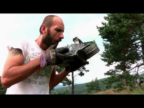 Видео: BLUEBERRY HILL / ПЛАНИНСКИ КАВИЈАР -   Film by Jordan Dukov (English subtitles)