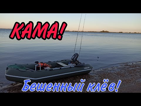 Видео: Сумасшедшая рыбалка на Каме! Бешенный клёв! Трофей!