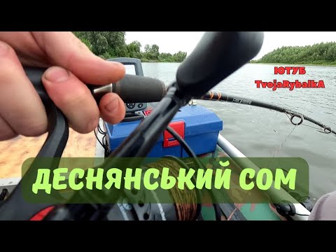 Видео: Сом на квок в Десні. Підйомів багато.