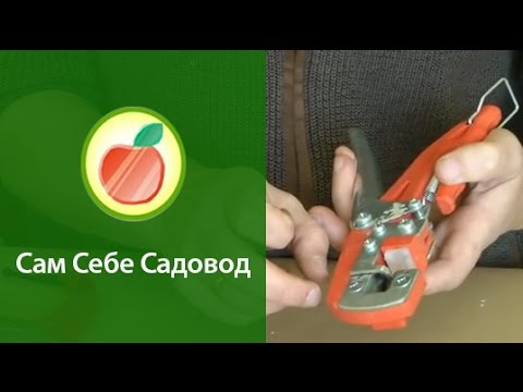 Видео: Обзор прививочных секаторов