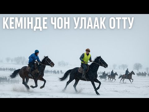 Видео: Кеминде бүгүн чоң улак болду...
