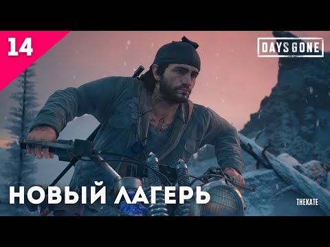 Видео: ➤ DAYS GONE (ЖИЗНЬ ПОСЛЕ) - ПРОХОЖДЕНИЕ №14 НОВЫЙ ЛАГЕРЬ #daysgone #daysgoneстрим