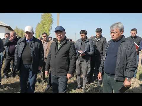 Видео: Зойир Мирзаев маҳаллада нима қилганини кўринг