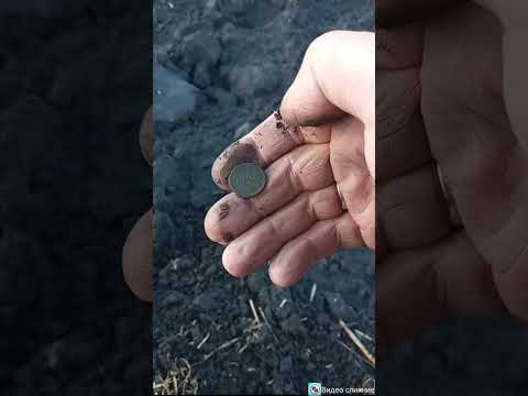 Видео: Коп как он есть, и снова на старые места. 