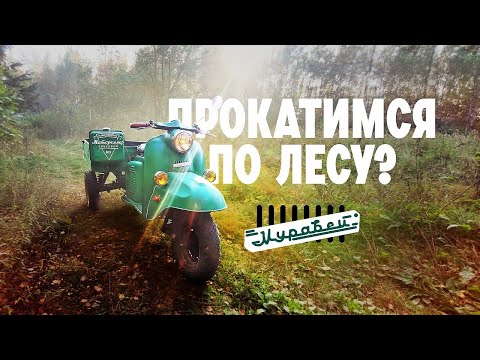 Видео: На Муравье по лесу в золотой час