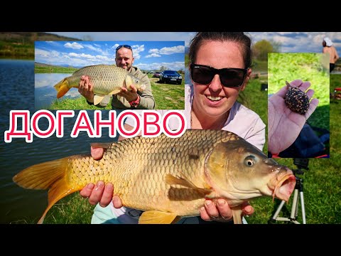Видео: ЖЕНАТА ХВАНА ПОВЕЧЕ РИБИ ОТ МЕН ! РИБОЛОВ НА ШАРАН НА МЕТОД ФИДЕР!ЯЗ .ДОГАНОВО