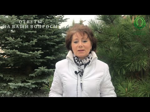 Видео: Ответы на Ваши Вопросы. Открытие роз. Уход за черенками роз