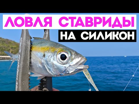 Видео: Ловля ставриды на силиконовые приманки с пирса