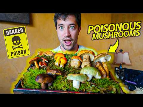 Видео: Китайский «Хо-пот», из-за которого сотни людей попали в больницу 🇨🇳 Смертельно опасные грибы в Юн...