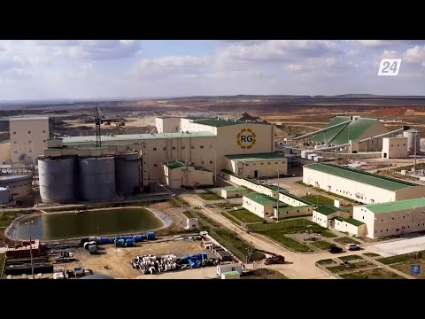 Видео: Добыча золота ТОО «RG Gold» в Казахстане | Q-Бизнес