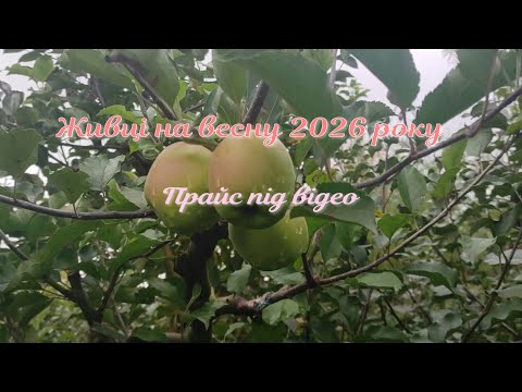 Видео: Живці на весну 2026 року.Частина 2