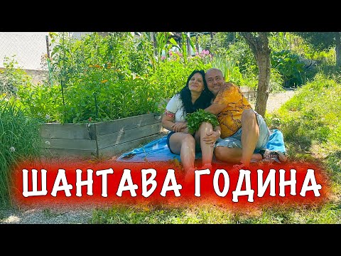Видео: 2025 – Най-странната градинарска година, която помним! 🌱