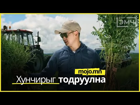 Видео: Хунчирыг тодруулна